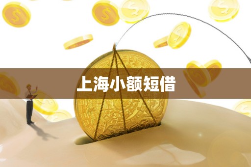 上海小额短借